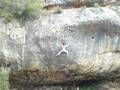 Darwin Dixit 8c