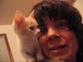 Adopted! Pixie Play---The Cutest Kitten in the World! Adopted! Pixie Play---The Cutest Kitten in the World!