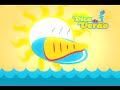 Racco Verão