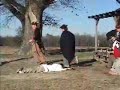 Fall of the Bastille