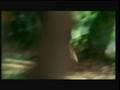 True Blood (Episode 1.12: 'You'll Be the Death of Me')
