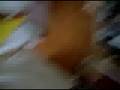 videos de Martin and Camila Fart