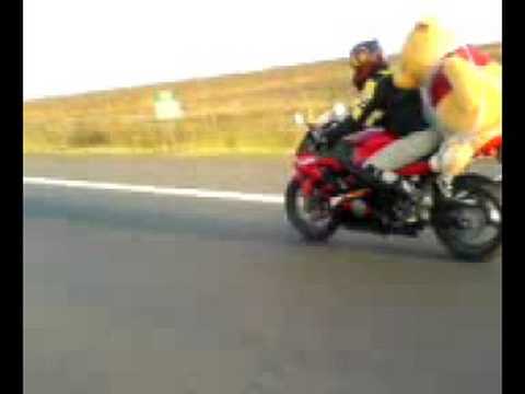 Cu ursu pe motor YouTube Preview Image