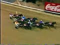 1996 Miracle Mile- Norms Daughter 1996 Miracle Mile- Norms Daughter