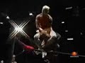 amazing mistico