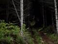 videos de ballade dans le vallespir
