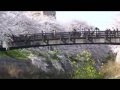 さくらさくら動画7