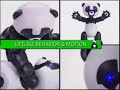 Robopanda details and description Robopanda details and description
