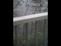 Flooding in Ballinasloe Marina and Carpark