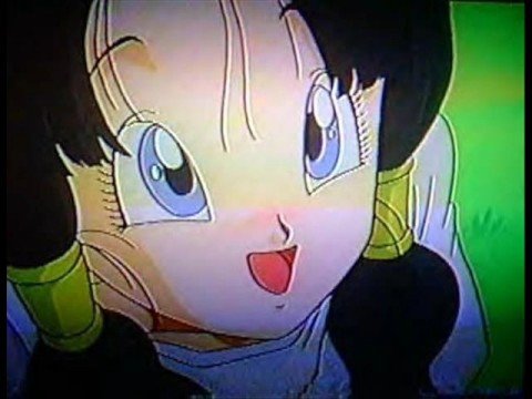 videl hentai