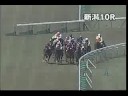 [パトロールビデオ] 080517 1新潟5 10R ゆきつばき賞