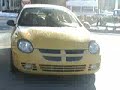Ricer Hunting