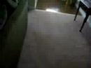 random random