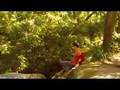Boronia Walk - Trailer