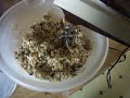 Oatmeal Cookies part 3