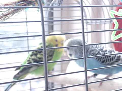 User submitted video