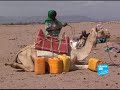Searching for Water in the desert