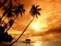 Komodo (Megavoices Classix Mix)-Mauro Picotto