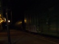 CN 305 on CFMG