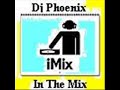 dj phoenix - turn it up!