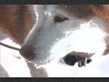 Neu Em Hieu