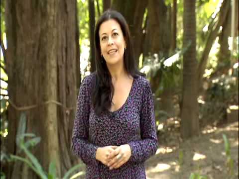 Repórter Eco - 23/09/2012 - IDEC completa 25 anos