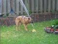 I`m Thirsty(It`s so f... hot!!!!)