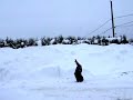 Ro flashkick in snow  2008