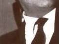 Başbuğ Alparslan Türkeş