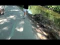 Click here to watch this video Catching up to another cyclist on the Rocky River Reservation Bike Path.