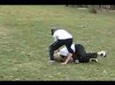 Short Parkour Chase Scene Short Parkour Chase Scene