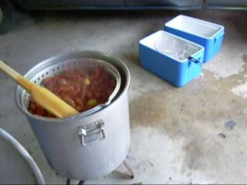 Crawfish boil 2009