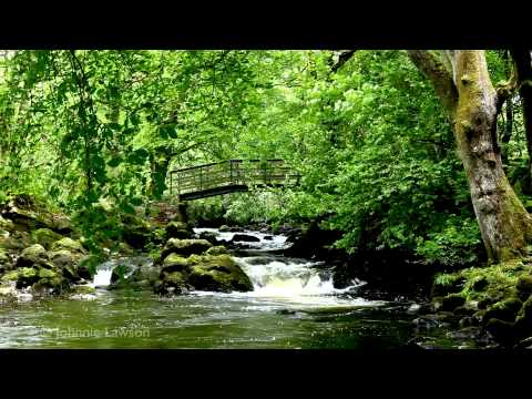 Musik - Relax by a Calming Tranquil Waterfall with Soothing Classical Music, Edvard Grieg's Piano Concerto in A Minor Op.16-II Adagio with Sounds of Nature, Bird Son...