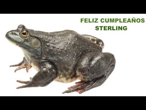 Sterling - ANIMALS & ANIMALES - A video happy birthday card with your name & a personalized birthday song from http://1HappyBirthday.com tiger, elephant, giraffes, gori...