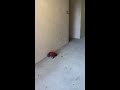 1/16 backflip