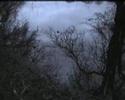 Turlough, Kiltoom Turlough, Kiltoom