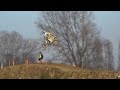 Starcross Mantova 2007