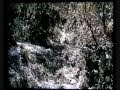 Trail des 3 dauphins