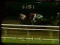 1980 Belmont Stakes 1980 Belmont Stakes