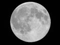 We Like The Moon Slowed Down
