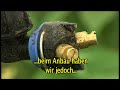 Droplegs - Deutsch