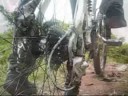 monster energy ad - polky yu monster energy ad - polky yu