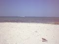 Cayman beach/ocean waves 2