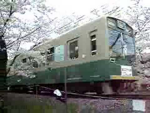 嵐電桜のトンネル2008