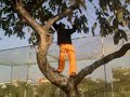Tanmoy-The Chimpanzee of VP-MASTI BHAI MASTI.mp4