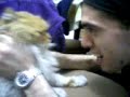 Tatyana Magali - mi gato pickachu