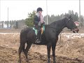 Muistovideo Heidistä