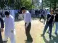 Traditional Dance (Pakhtoons Atanr)