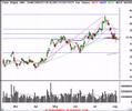 Stocks-and-Options-T