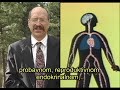 American Drug War - The Last White Hope (6/8) (Serbian subtitle)